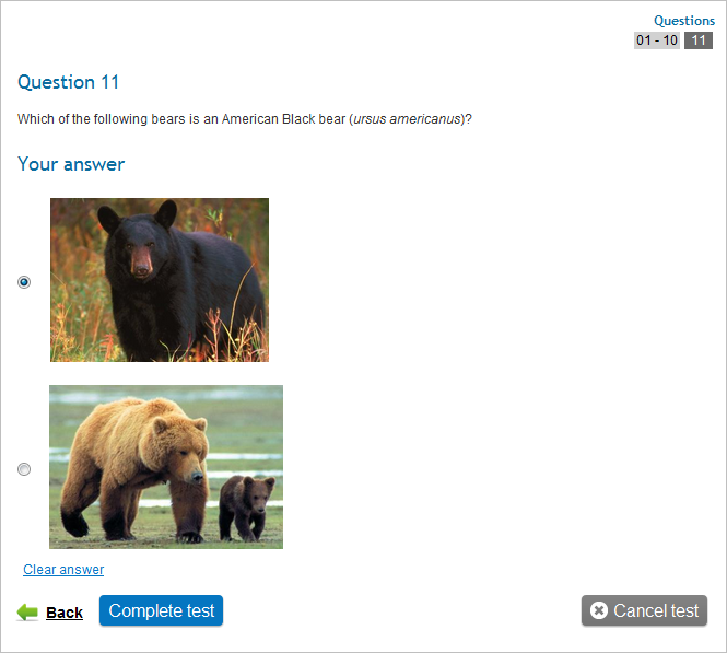 Questions Using Or Either/or